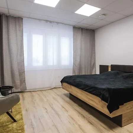 Flexihome Sk - Snp 7 - Four Room Apartment, Ac, Loggia Apartment